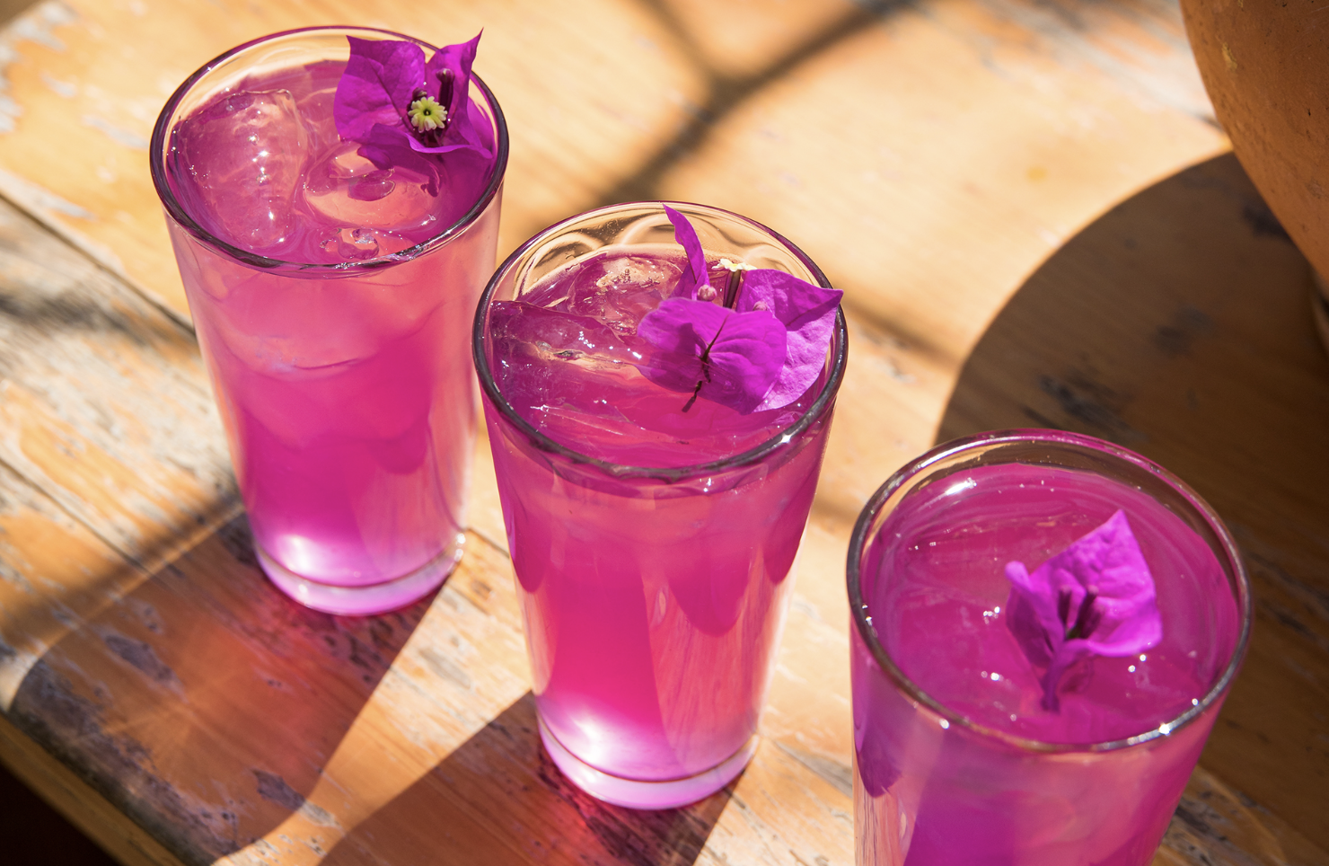 El sabor de la innovación: cómo las bebidas autóctonas oaxaqueñas están revolucionando la industria y conquistando el mundo.