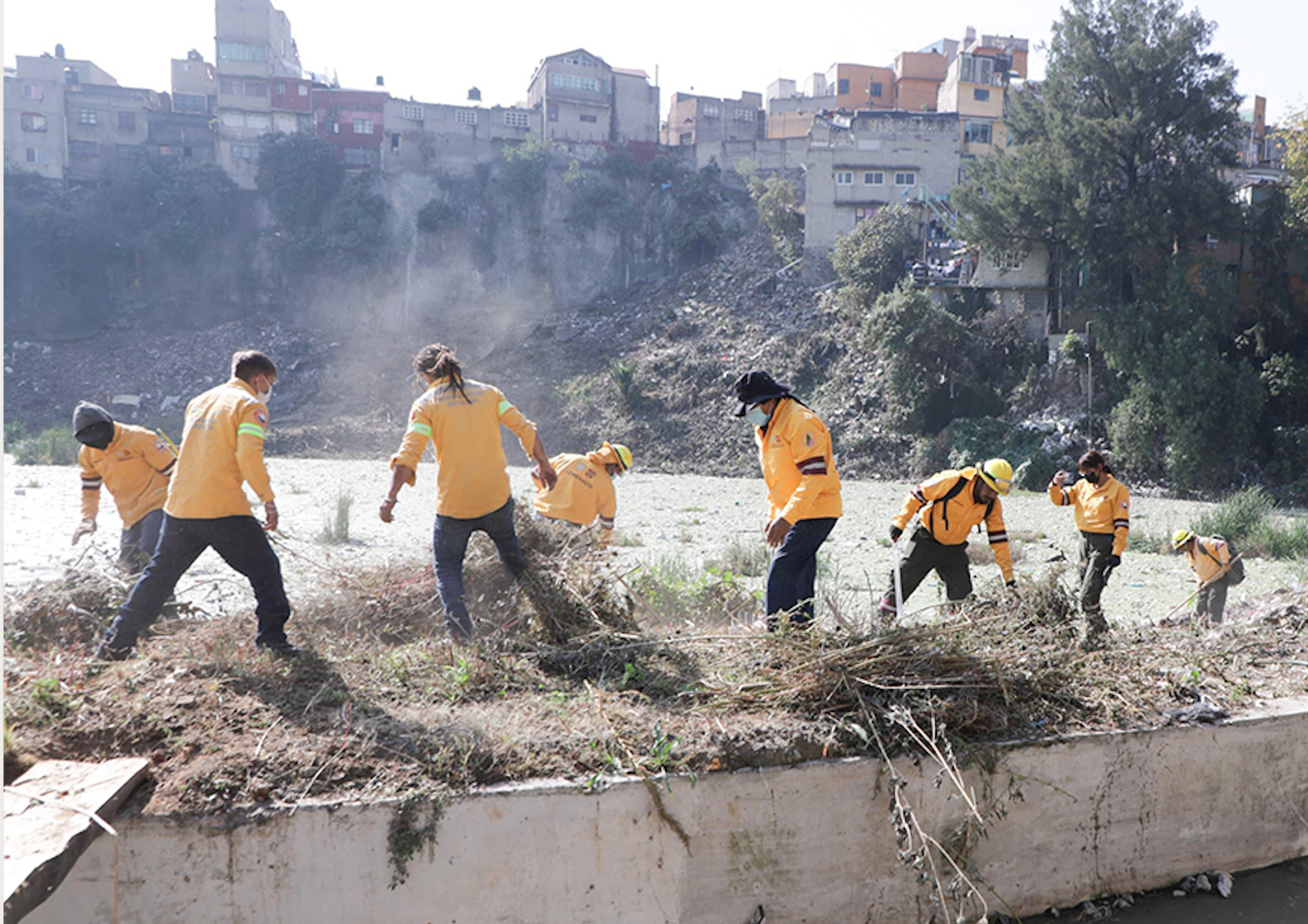 "La Revolución del Agua: Descubre Cómo Esta Diputada Lidera la Transición Sustentable de la Ciudad"