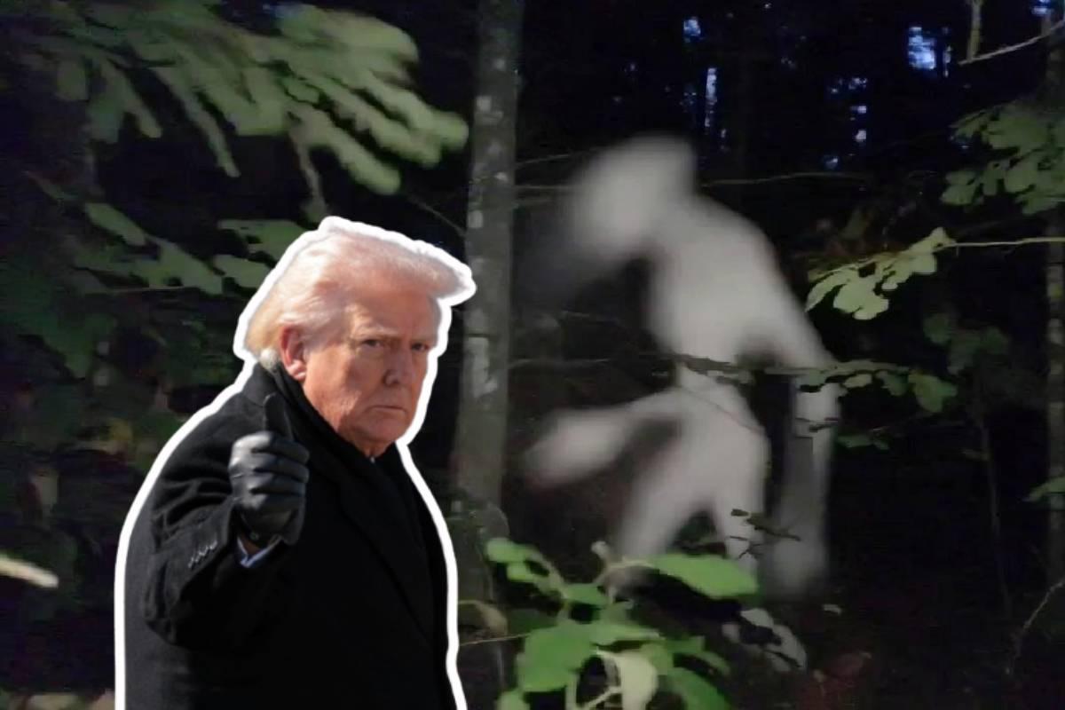 El gobierno de EE.UU. lanza un portal oficial sobre vida extraterrestre: ¿qué oculta?